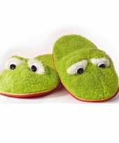 Pluche dieren sloffen pantoffels kikker voor dames maat 38 40